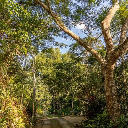 La Luciole Ecolodge 파라티 외부 사진