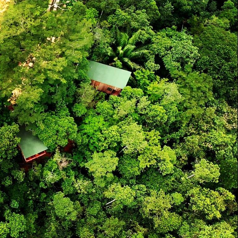 La Luciole Ecolodge 파라티 외부 사진